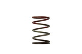 Turbosmart - IWG WG38/40/45/50L External Wastegate Springs | Goleby's Parts