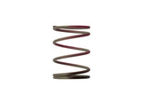 Turbosmart - IWG WG38/40/45/50L External Wastegate Springs | Goleby's Parts