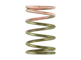 Turbosmart - GenV IWG Springs - Goleby's Parts | Goleby's Parts