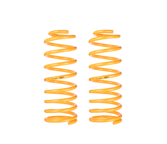 Holden Gemini (1975-1985)  TX; TC; TD; TE; TF; TG WAGON & P/VAN 75-85 King Coil Springs Rear Lowered (Pair)